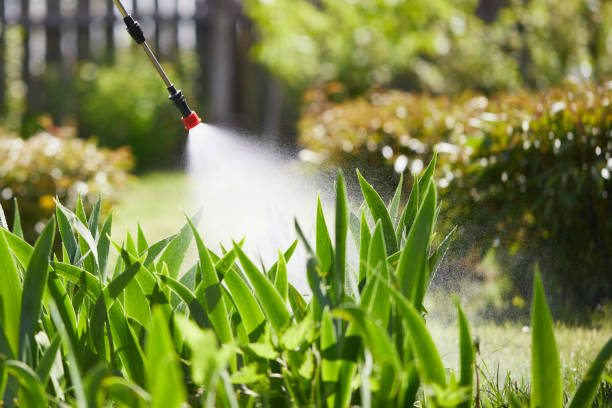 24/7 Emergency Wasp Removal experts in Gray, LA