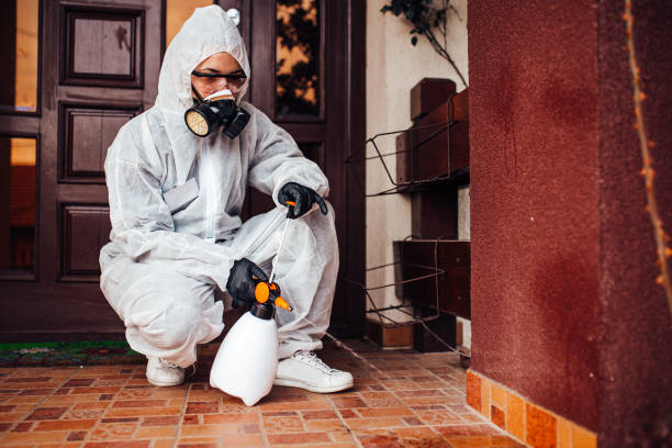 Reliable Wasp Removal contractor in Gray, LA by Show Me Pest Control